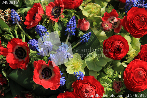 Image of Spring flowers in red and blue