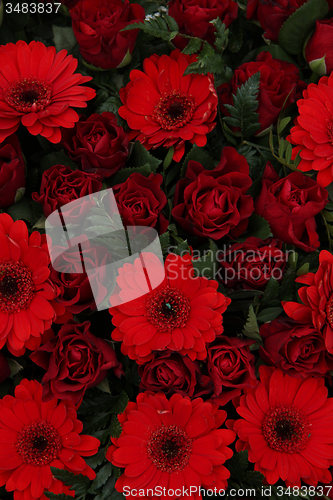 Image of red floral arrangement