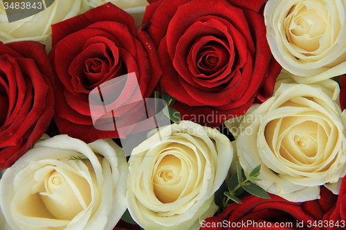 Image of Red and white roses in a wedding arrangement