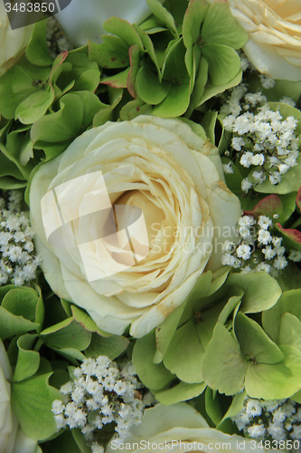 Image of Hydrangea and roses bridal bouquet