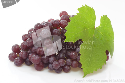 Image of Red Grapes
