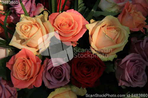 Image of Pastel roses in bridal arrangement