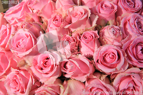 Image of Pink roses in bridal bouquet