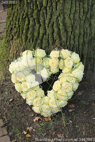 Image of Heart shaped sympathy flowers