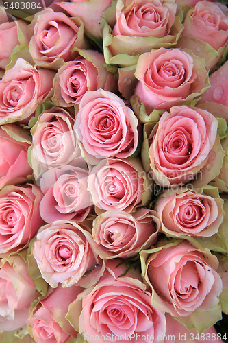 Image of Pink roses in a wedding arrangement