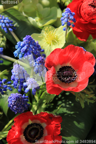 Image of Spring flowers in red and blue