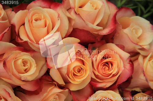 Image of Multicolored wedding roses