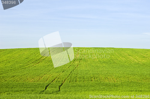 Image of Harvest landscape