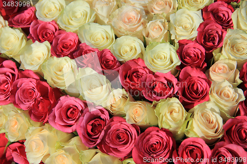 Image of Pink roses in different shades in wedding arrangement