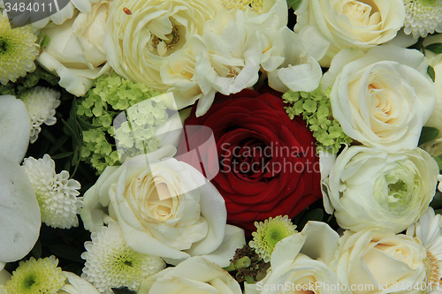 Image of Red rose in white bridal bouquet