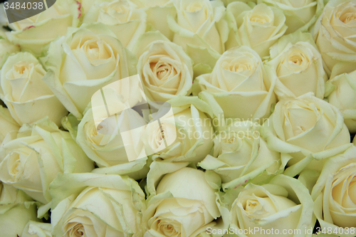 Image of Classic white weddiing arrangement