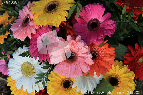 Image of Gerberas in a colorful bridal bouquet