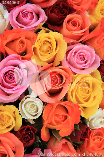 Image of Multicolored wedding roses