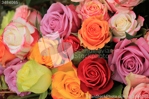 Image of Multicolored wedding roses