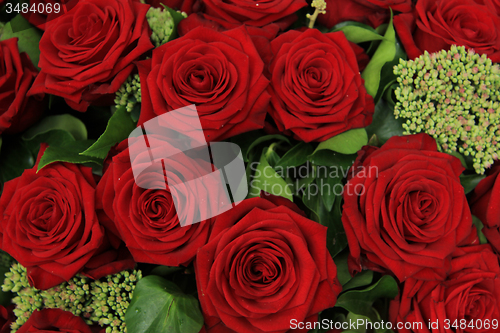 Image of Red bridal roses