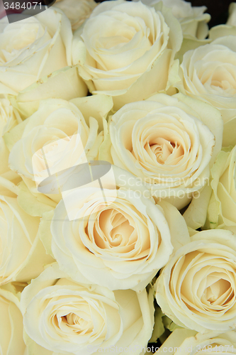 Image of White roses in a wedding arrangement