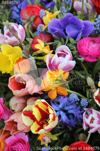 Image of Mixed Spring Flowers