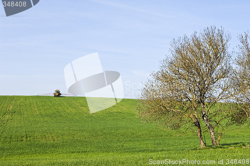 Image of Rural scene