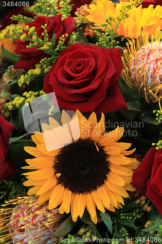 Image of Sunflowers and roses