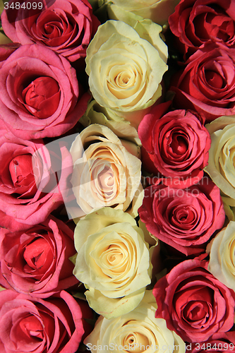 Image of Pink roses in different shades in wedding arrangement