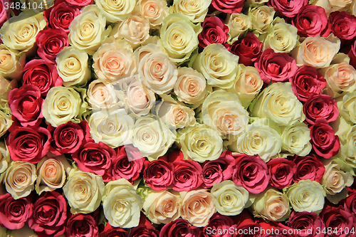 Image of Pink roses in different shades in wedding arrangement