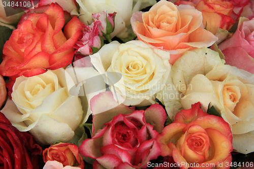 Image of Multicolored bridal bouquet