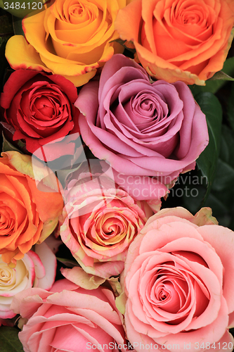 Image of Multicolored wedding roses