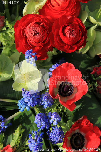 Image of Spring flowers in red and blue