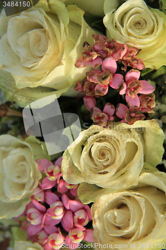 Image of White wedding roses