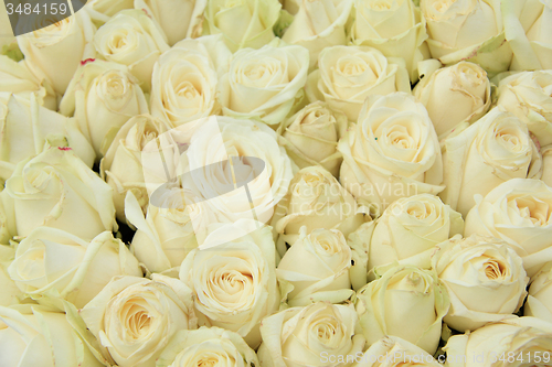 Image of White roses in a wedding arrangement