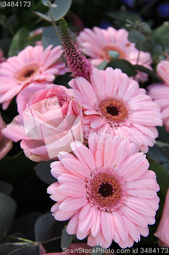 Image of Pink bridal flowers