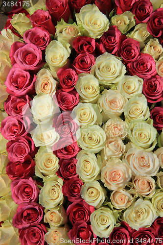 Image of Pink roses in different shades in wedding arrangement