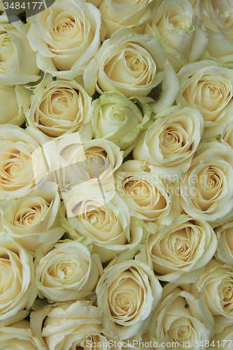 Image of White roses in bridal bouquet