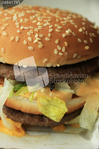 Image of Hamburger in a carton box