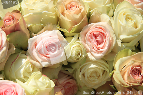 Image of White and Pink roses in wedding arrangement