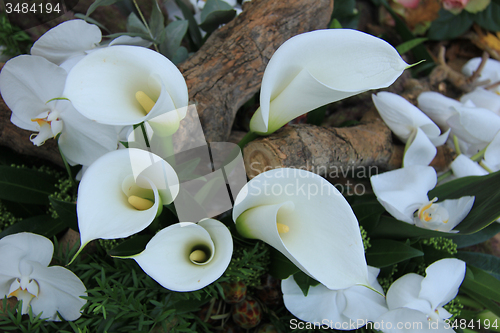 Image of Calla lilies in wedding arrangement