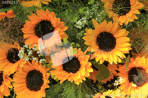 Image of Sunflowers