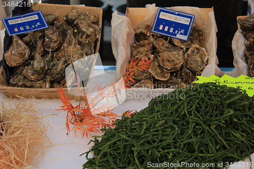 Image of Fish at a market