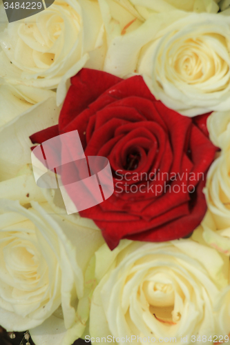 Image of red and white roses