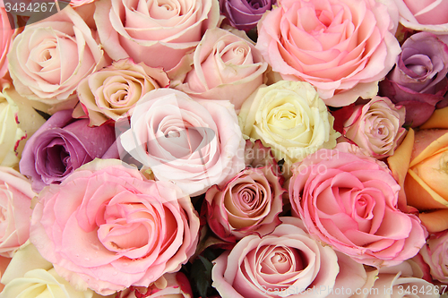 Image of Mixed pastel roses