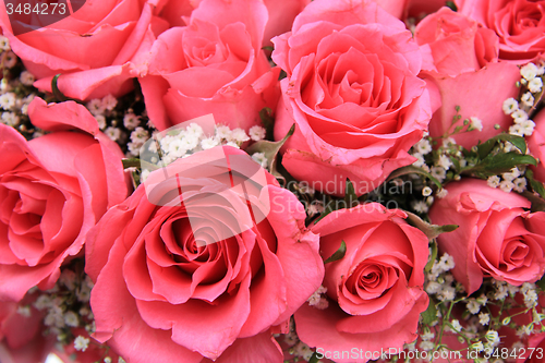 Image of Pink roses in a bridal arrangement