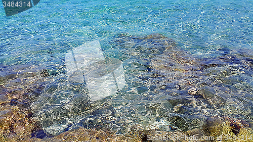 Image of Transparent sea water