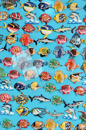 Image of Fish magnets