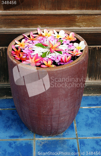 Image of Tropical flowers