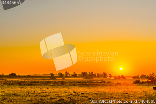 Image of Misty field with a sunrise