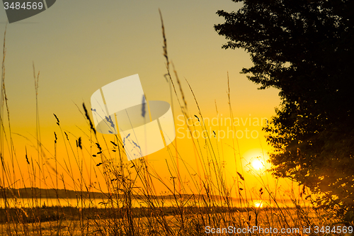 Image of Lake sunrise with grass silhouettes