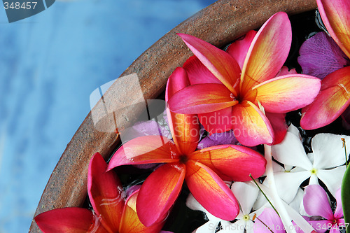 Image of Flowers