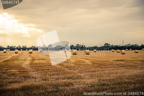 Image of Round bales in a rural scenery