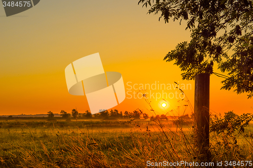 Image of Sunrise over a misty field