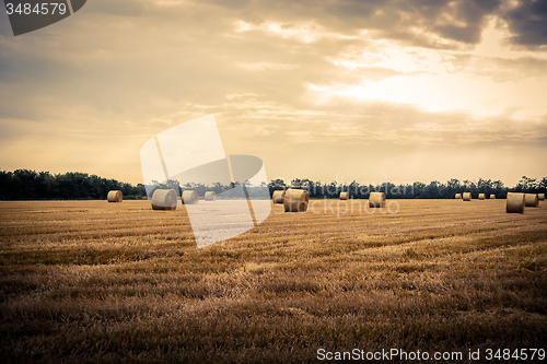 Image of Round bales in the countryside